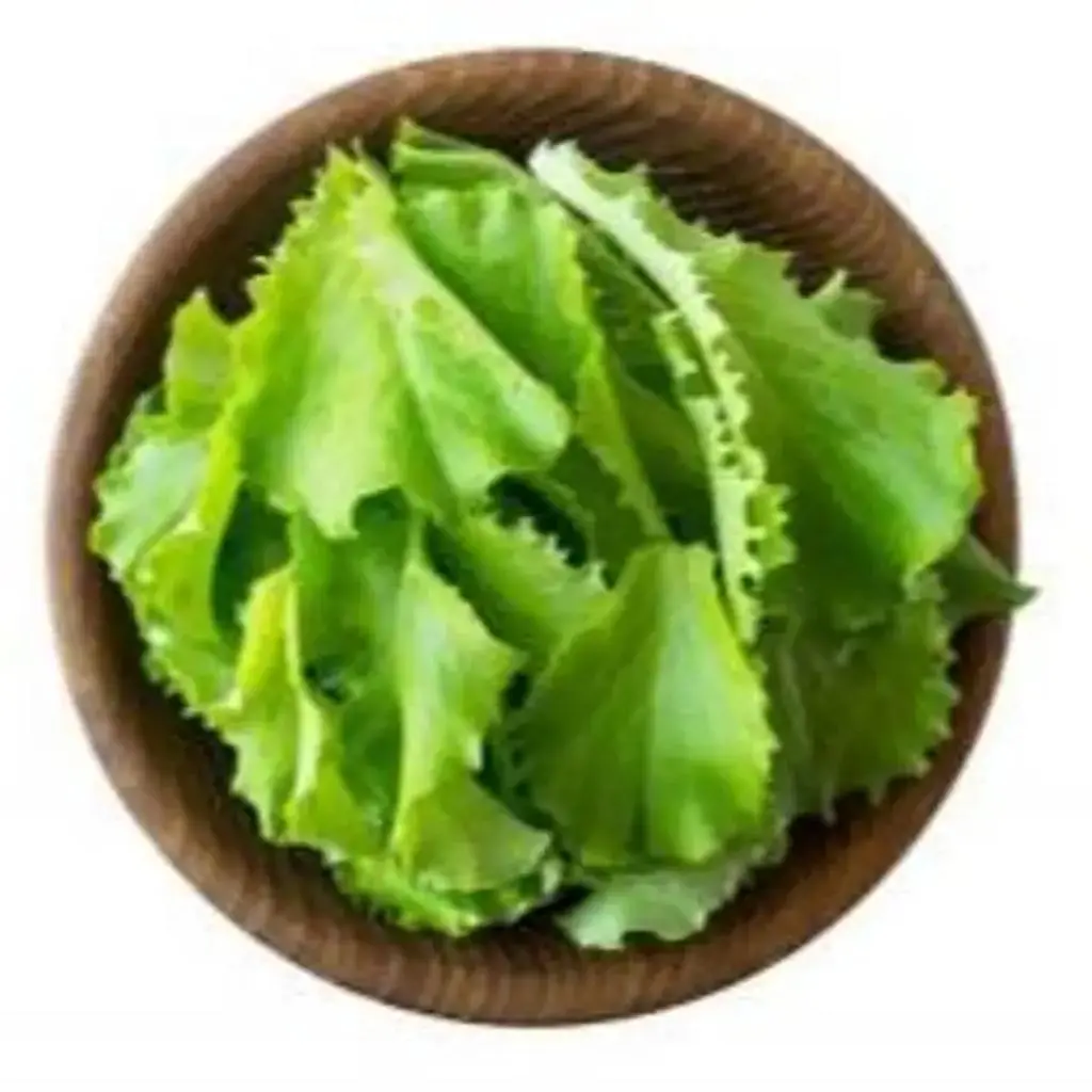شرائح الخس